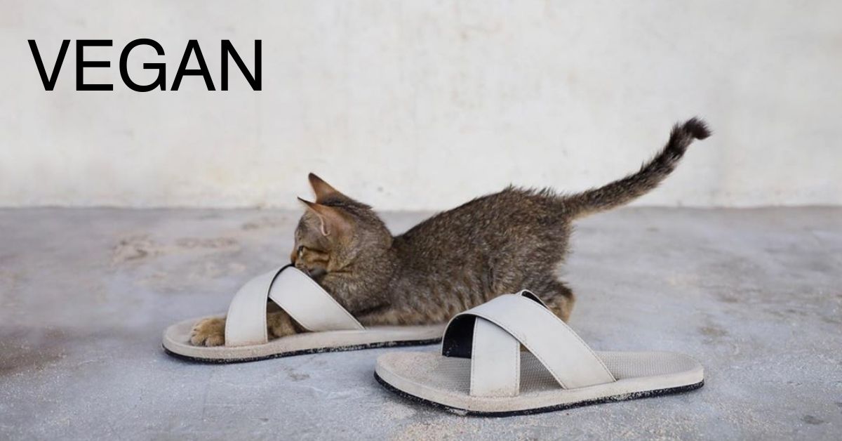 ndosole Vegan Footwear Kitten On Indosole Cross Sandals